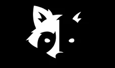 RaCoon Memo